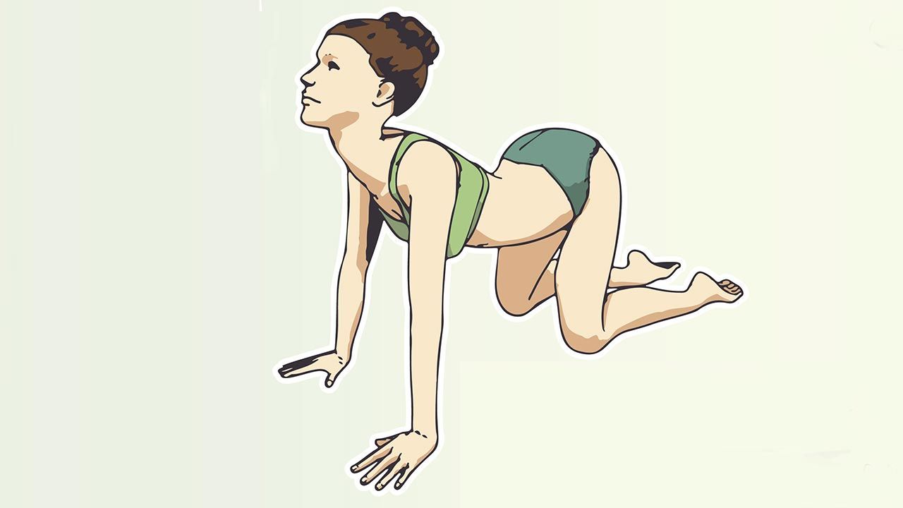 Poses Yoga Dolor Espalda Postura Gato